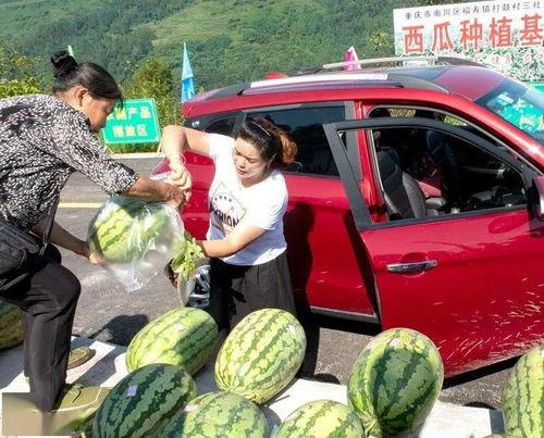 来宾市吃瓜群众爆料视频,现场视频引发热议